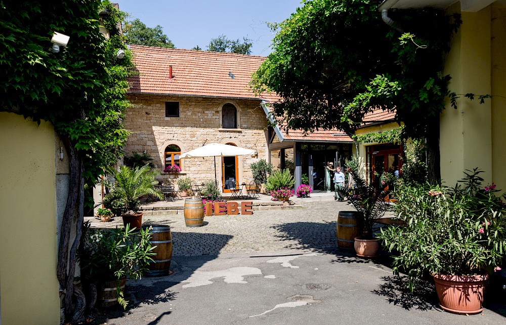 reportage Pia und Felix – Mitten in den Weinreben vom Alten Weingut Bad Dürkheim 10