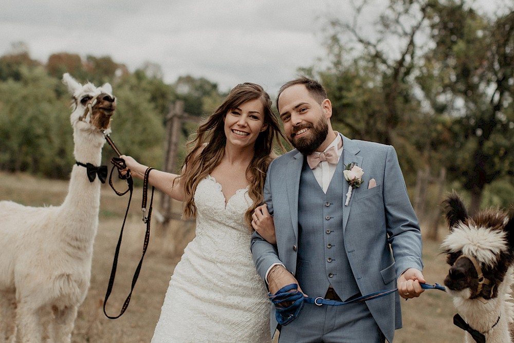 reportage Hochzeit mit Lama als Gast 20