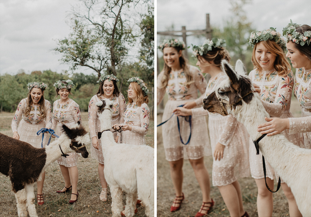 reportage Hochzeit mit Lama als Gast 22