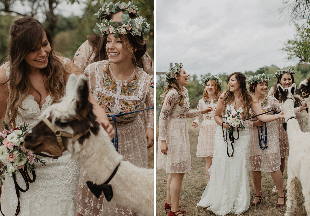 reportage Hochzeit mit Lama als Gast 24