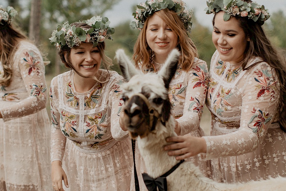 reportage Hochzeit mit Lama als Gast 23