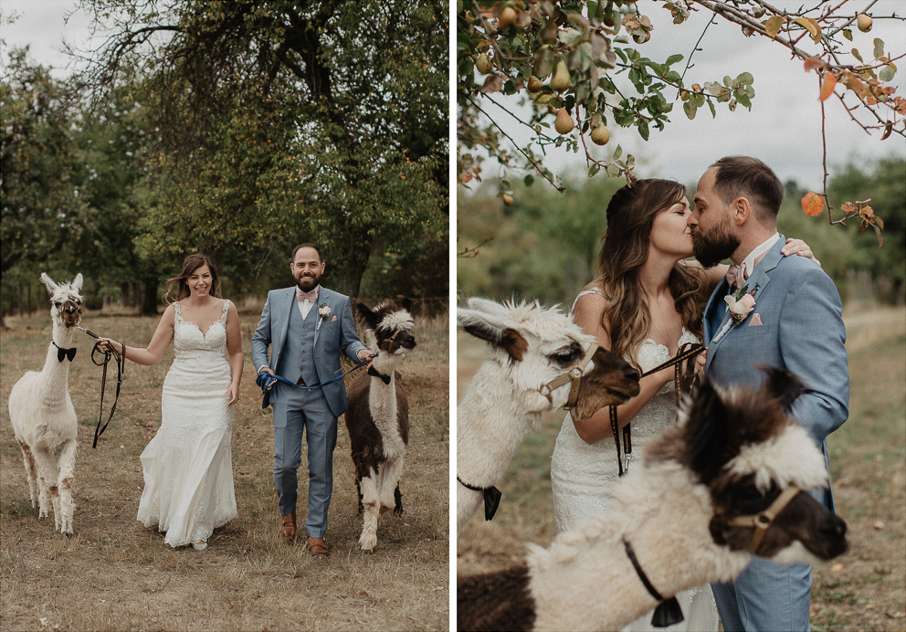 reportage Hochzeit mit Lama als Gast 26