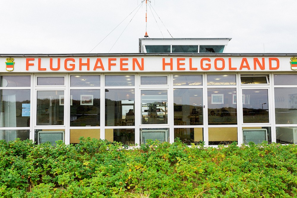 reportage Ein wunderbarer Tag auf Helgoland 6