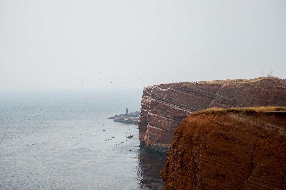 reportage Ein wunderbarer Tag auf Helgoland 49