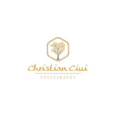 Logo Christian Ciui