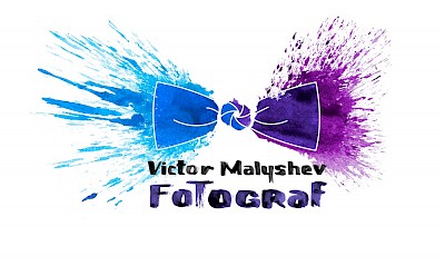 Logo Victor Malyshev