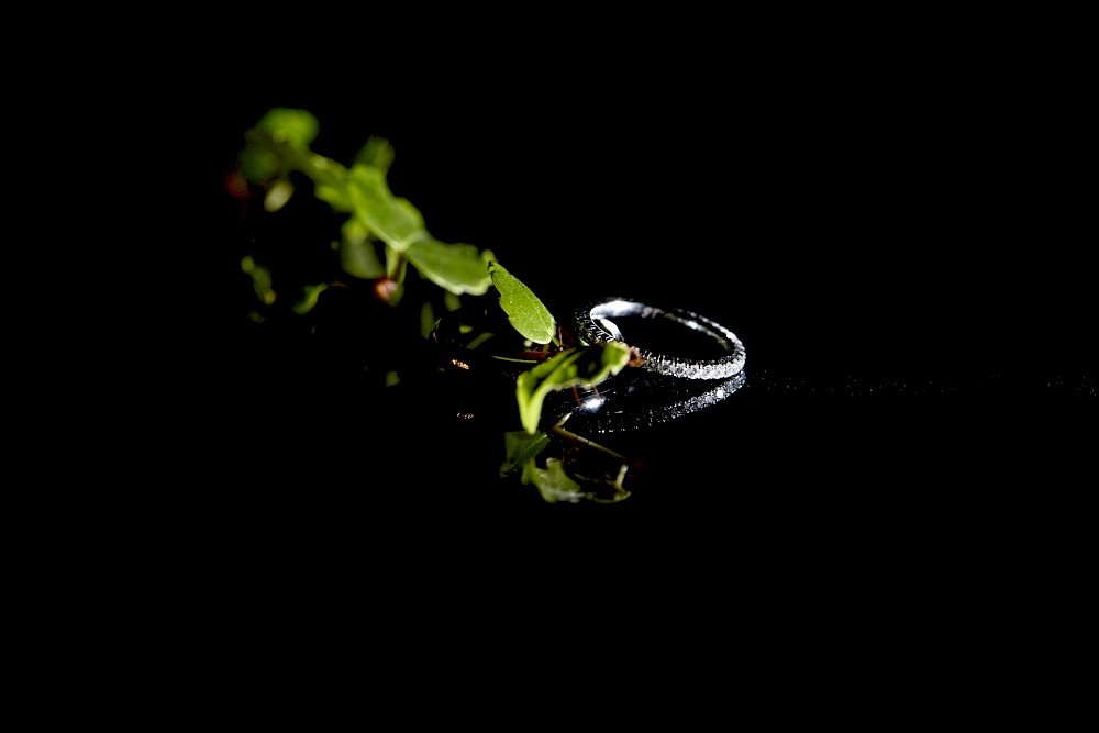 reportage Hochzeit im schönen Rheingau 52