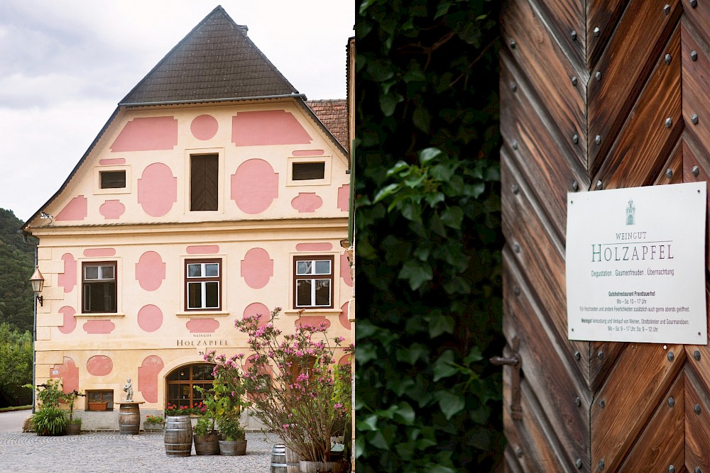 reportage Weingut Holzapfel mitten in der Wachau an der Donau (Niederösterreich) 18