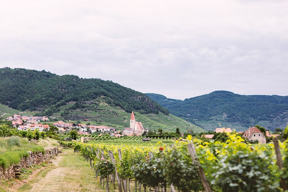 reportage Weingut Holzapfel mitten in der Wachau an der Donau (Niederösterreich) 28