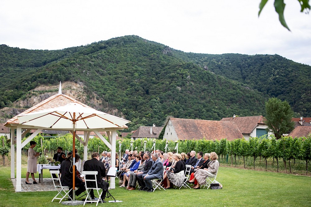 reportage Weingut Holzapfel mitten in der Wachau an der Donau (Niederösterreich) 6