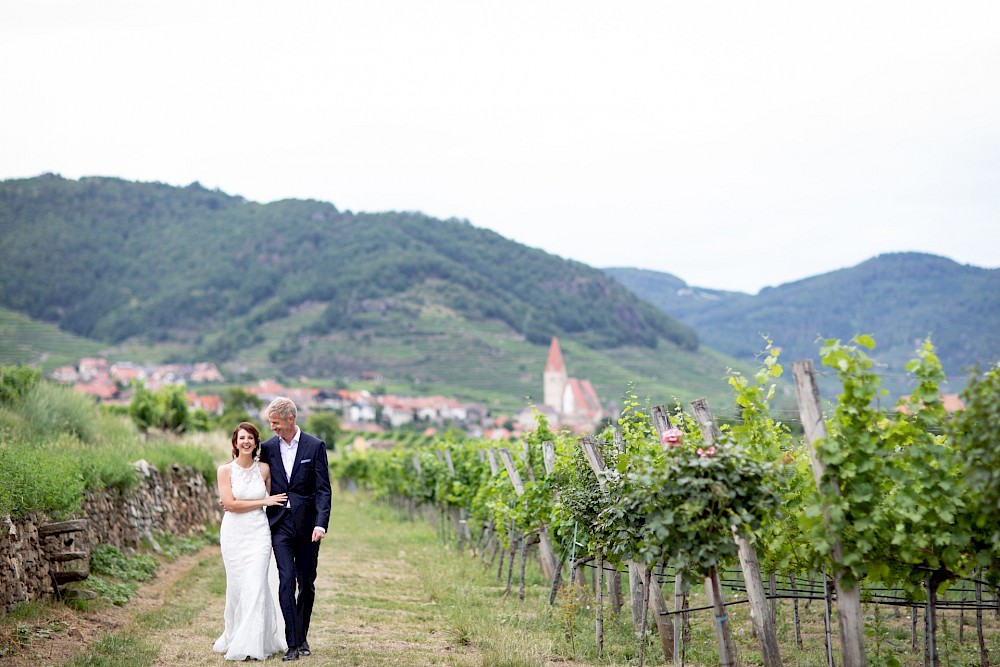 reportage Weingut Holzapfel mitten in der Wachau an der Donau (Niederösterreich) 19