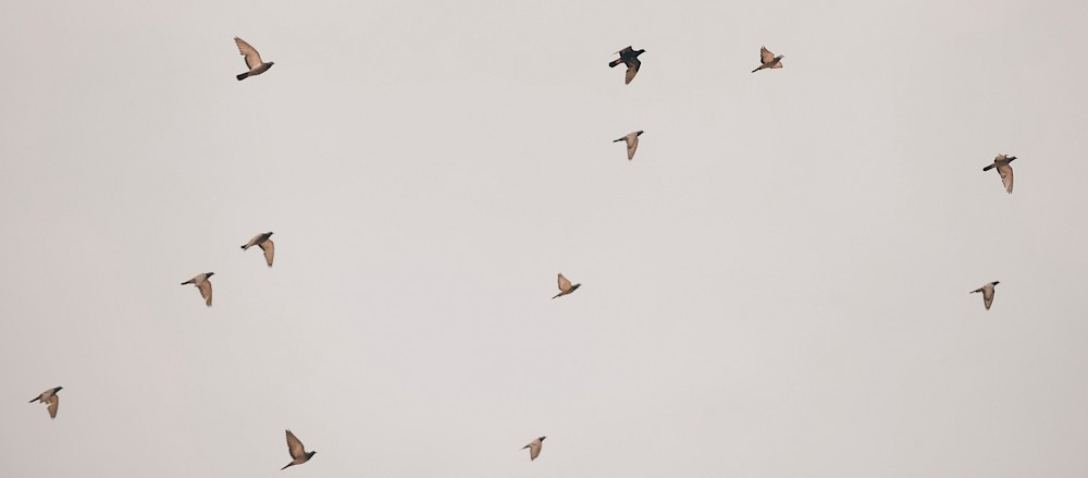 reportage Vanessa+Jorge _Alicante,Spain 6