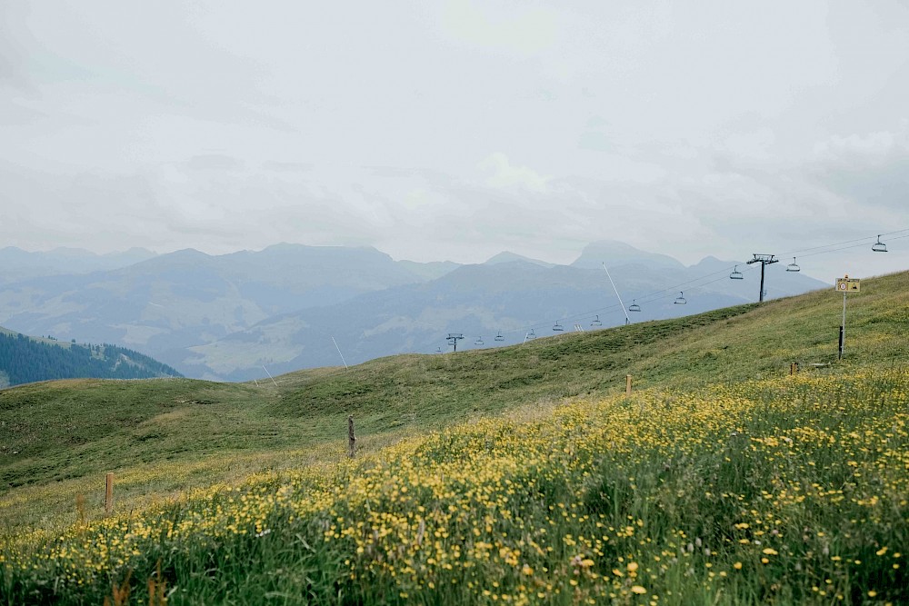 reportage Panoramaalm Kitzbühel 35