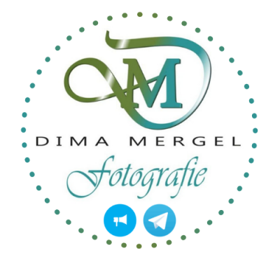 Logo Dima Mergel