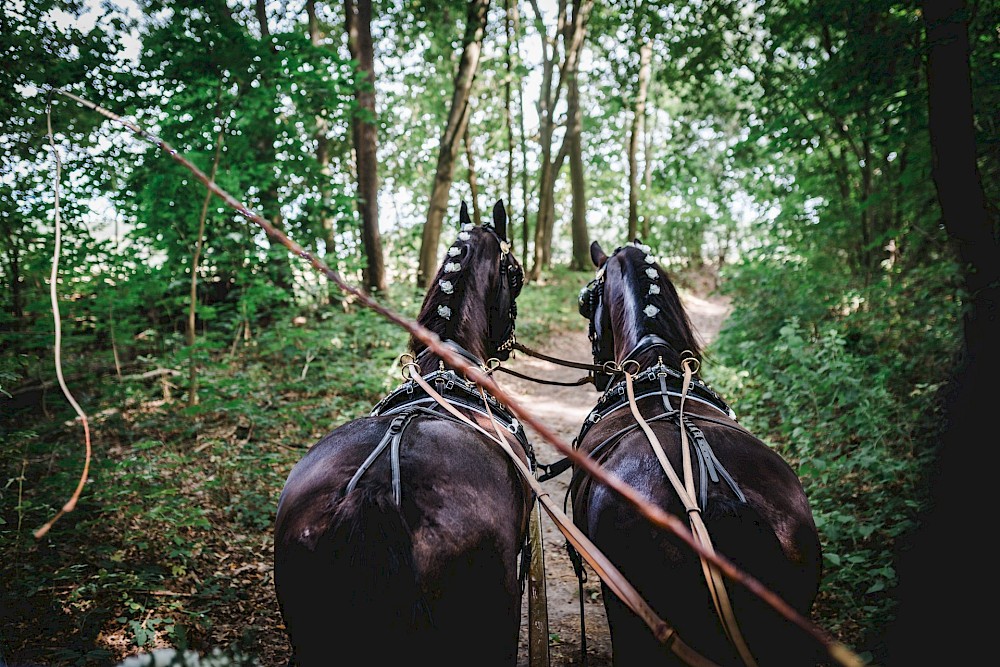 reportage Hochzeit Kloster Chorin 41